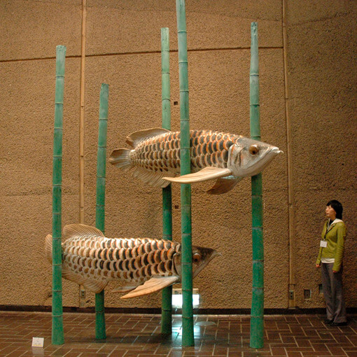 雅音 サムネイル画像