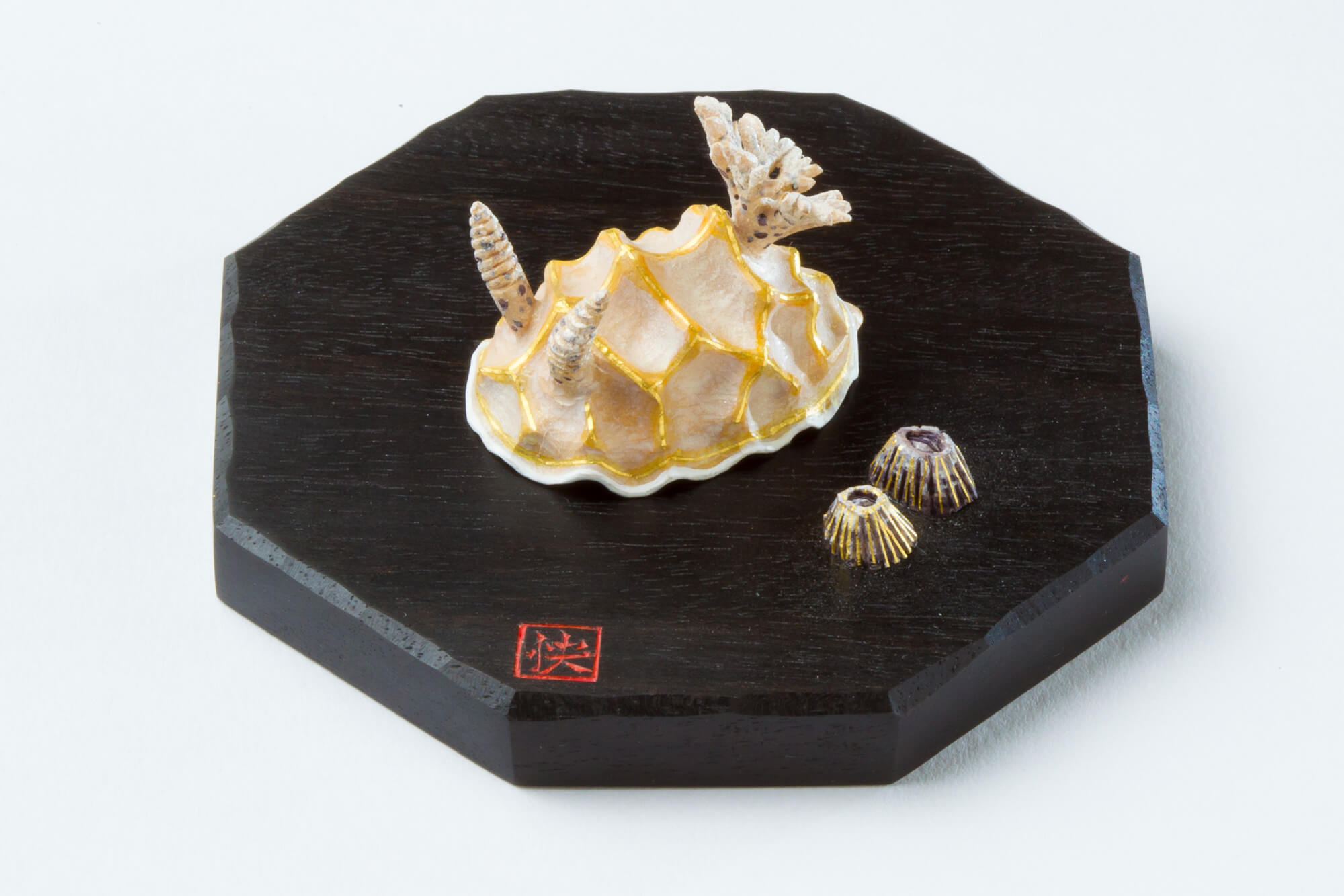 海牛〜キスジカンテンウミウシ〜）