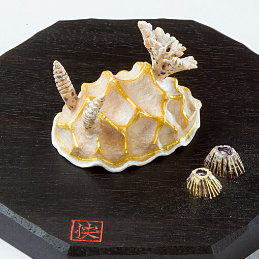 海牛〜キスジカンテンウミウシ〜 サムネイル画像