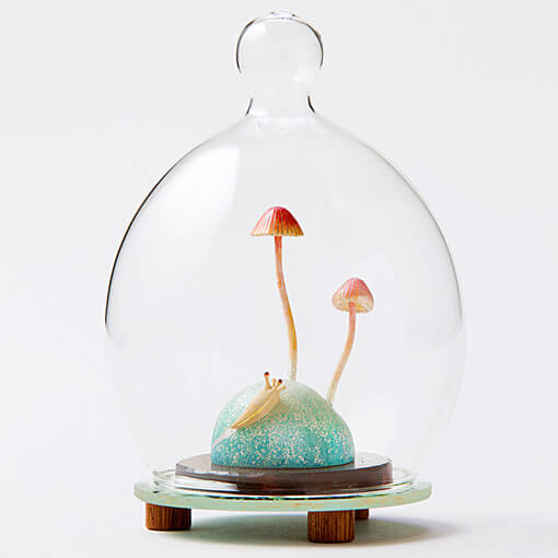 茸乃培養室 サムネイル画像