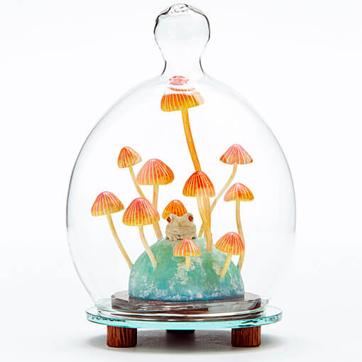 茸乃培養室 サムネイル画像