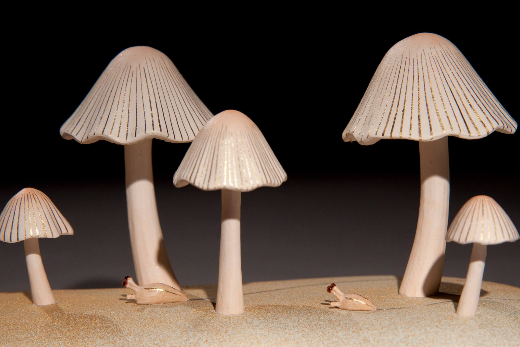 キノコの森〜蛞蝓〜