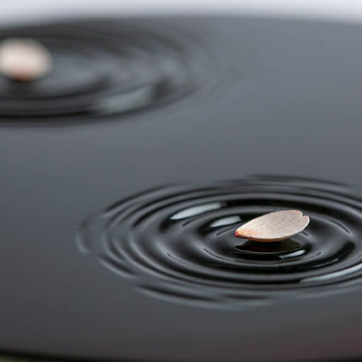 夕桜 サムネイル画像